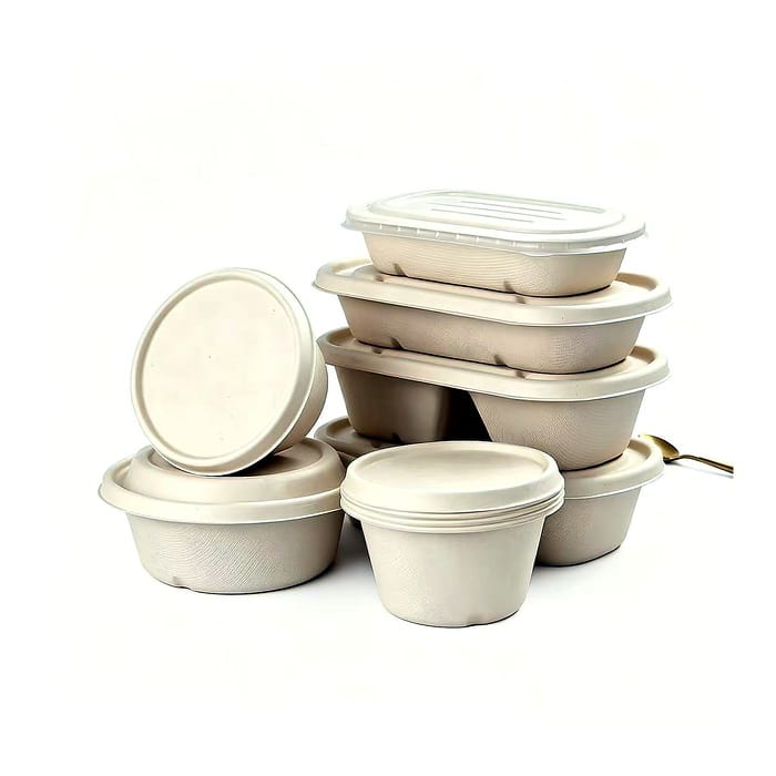 Biodegradable Disposable Food Containers